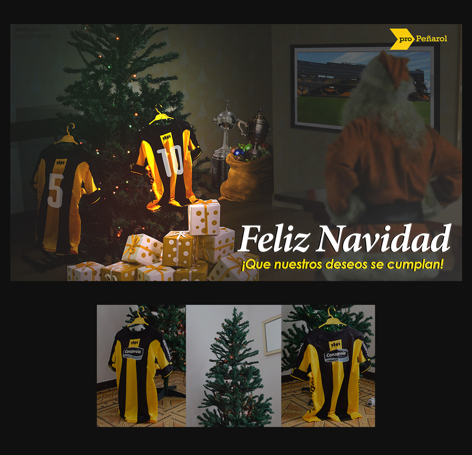 Pro peñarol